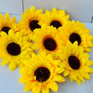 Display Sunflower