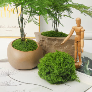 Artificial Moss