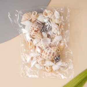 Sea Shell 30g