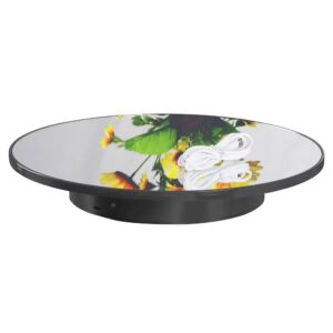 Turn Table Display